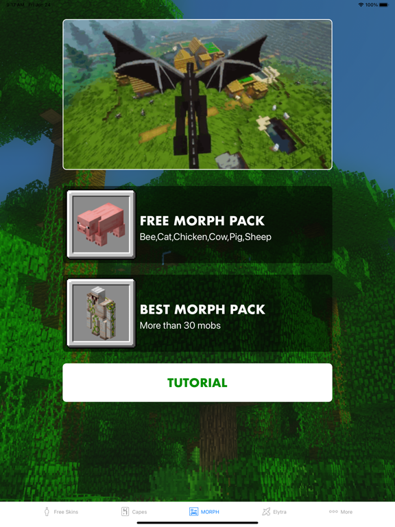 Morph Mod - Mods for Minecraft screenshot 3