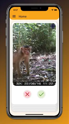 Game screenshot Faunawatch Citizen Science mod apk