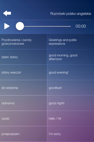 Rozmówki polsko-angielskie screenshot 3