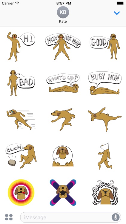 Golden Retriever Stickers for iMessage Daily Use