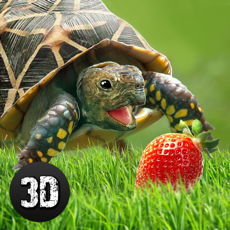 Activities of Life of Turtle: House Pet Simulator
