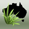 Environmental Weeds Australia