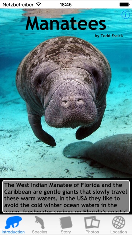 Manatees