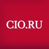 Директор информационной службы (CIO.RU)