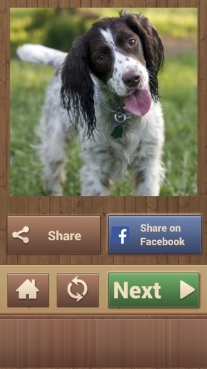 Dog Jigsaw Puzzles(圖5)-速報App