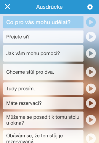 Learn Czech - conversation screenshot 4