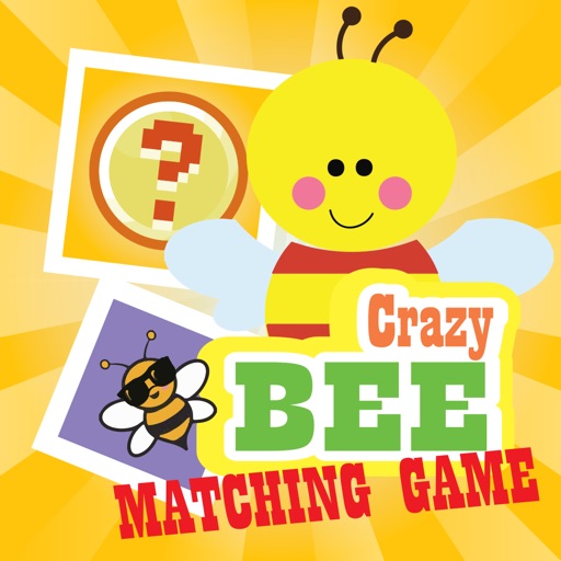 The Bee Matching Game for Little Kids