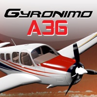 Beech Bonanza A36 pour PC