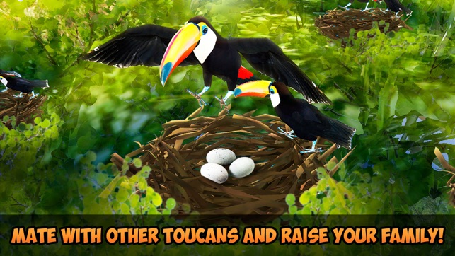 Toucan Simulator: Flying Bird Life 3D(圖3)-速報App