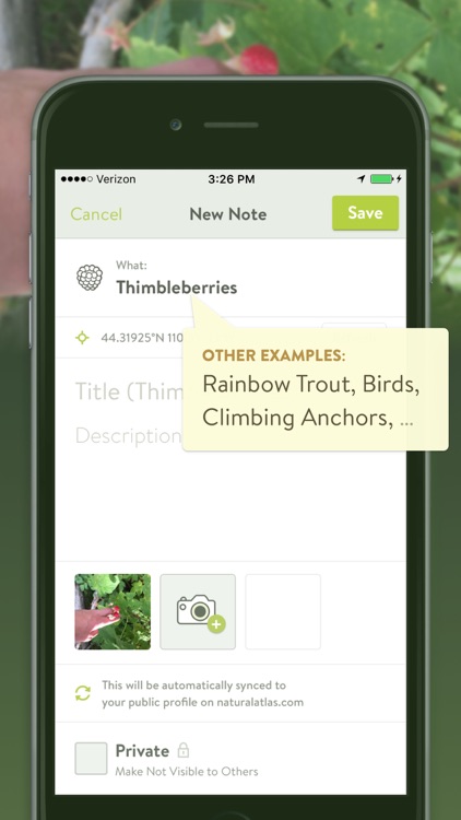 Natural Atlas: Outdoor GPS & Offline Hiking Maps screenshot-3