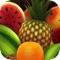 IQ for kids Free : Baby learn plant,tree,fruit