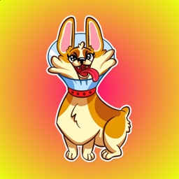 Corgi The Best Friend Stickers