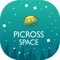 Picross Space