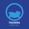 Training hamsters