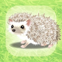 Virtual Therapeutic Hedgehog Pet apk