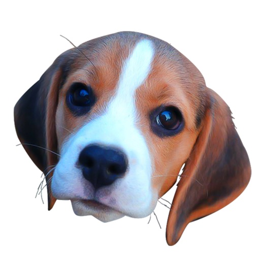 Beaglemoji - emoji keyboard icon