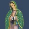 The Mobile App to accompany the Our Lady of Guadalupe website