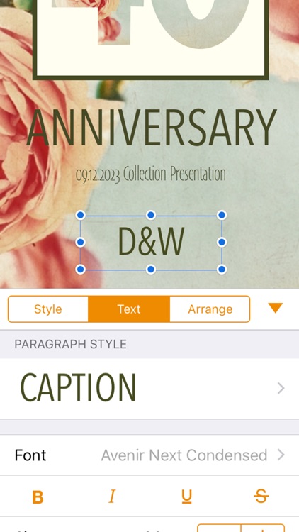 Flyers Templates for Pages screenshot-4