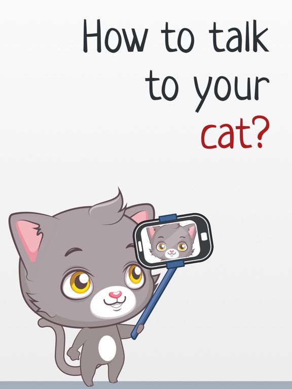 human to cat years translator
