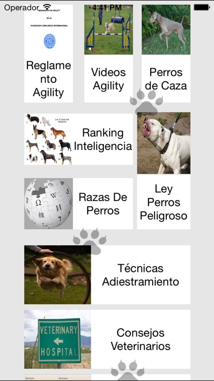 Entrena Tu Perro
