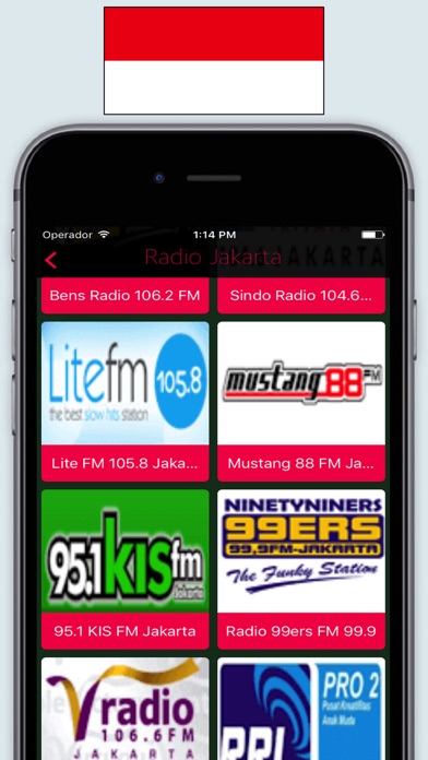 Radio Indonesia FM / Radio Stations Online Live screenshot 4