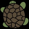 Turtle Run Game!