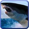 Shark Hunting Attack Simulator Inside Water