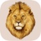 The best way to learn the alphabet or animals’ names in three different languages – Arabic, English and French