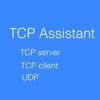 TCP Assistant