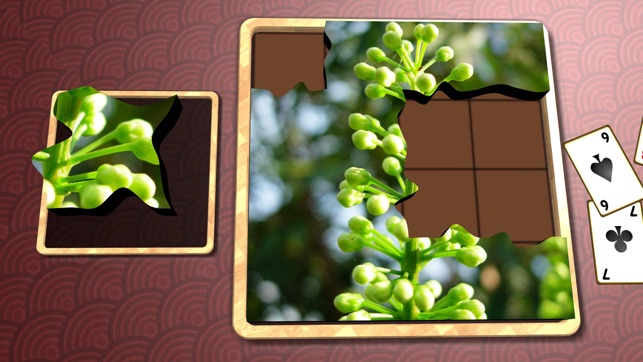 Jigsaw Solitaire Plants(圖2)-速報App