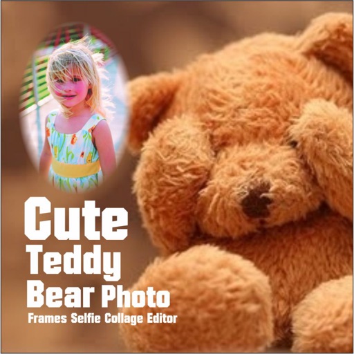 Cute Teddy Bear Photo Frames Selfie Collage Editor