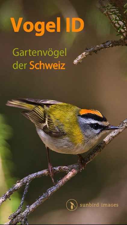 Vogel Id Schweiz, Vögel bestimmen im Garten + Wald