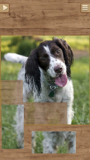 Dog Jigsaw Puzzles(圖4)-速報App