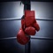 The boxing sound effects app comes comes with all the boxing sounds you want for to play boxing sounds for any occasion