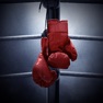 Get Boxing Sound Effects for iOS, iPhone, iPad Aso Report