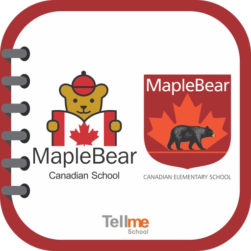 Maple Bear São Luís Download
