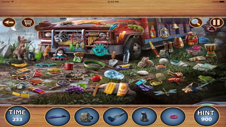 Hidden Objects : Funny Guest