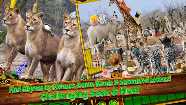 Animal Kingdom Objects - Hidden Object Time Quest(圖4)-速報App