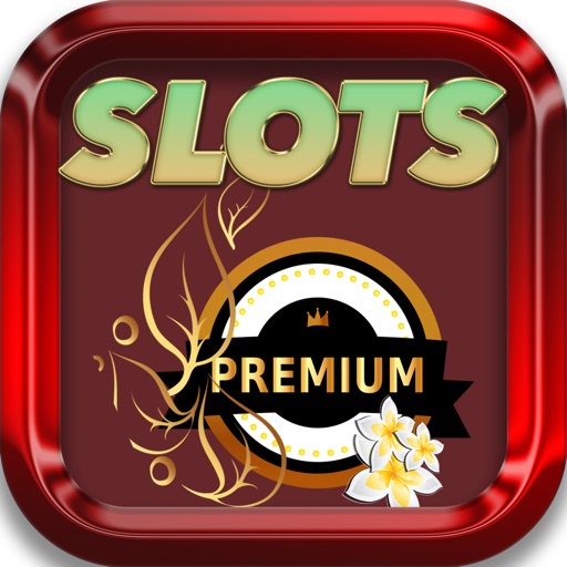 Real Vegas Basic Casino Machines iOS App