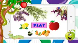 Game screenshot Fruits Flash Cards Matching Games For Toddler Boys apk