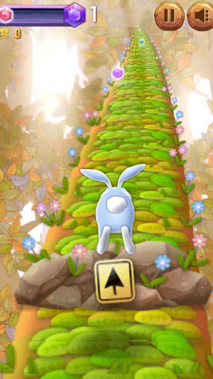 ウサギは速く走る