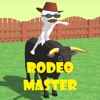 Rodeo Master!