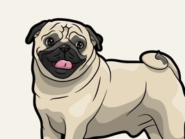 React with iPugmoji and Stickers Pack