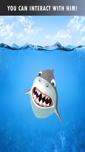 Talking Bruce The Shark(圖3)-速報App