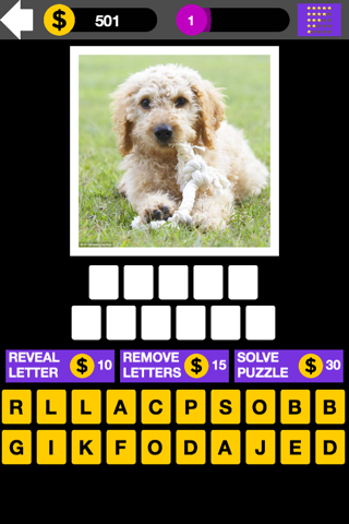 Top Dog Breed Quiz Maestro screenshot 4