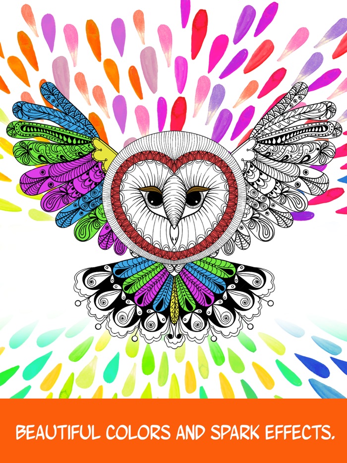 Owl Discover Magic Coloring Pages for Adults