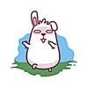 Funny Fat Rabbit