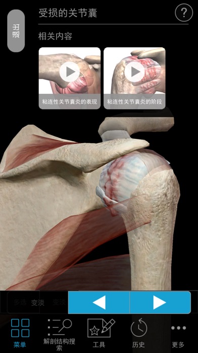 Muscle Premium screenshot1
