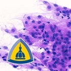 Top 39 Medical Apps Like Johns Hopkins Atlas of Surgical Neuropathology - Best Alternatives