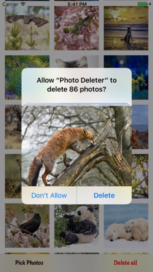 Photo Cleaner - Fast Delete(圖1)-速報App